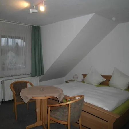 فندق Dribischenhof 3*